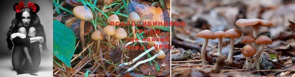 МДМА Абинск
